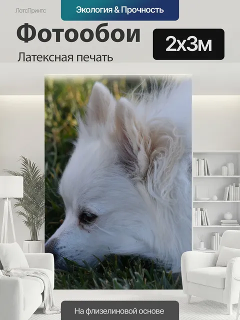 200 × 300 см · Латексная печать