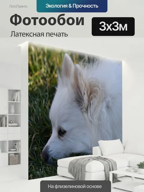 300 × 300 см · Латексная печать