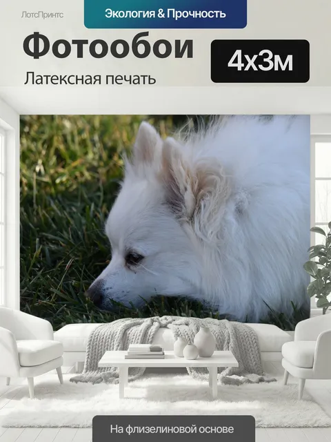 400 × 300 см · Латексная печать