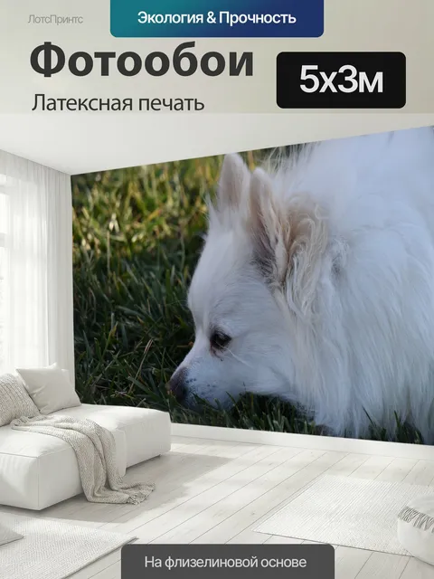 500 × 300 см · Латексная печать