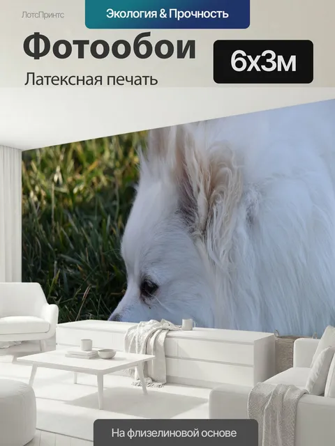 600 × 300 см · Латексная печать