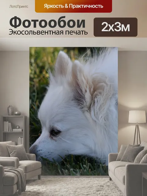 200 × 300 см · Экосольвентная печать