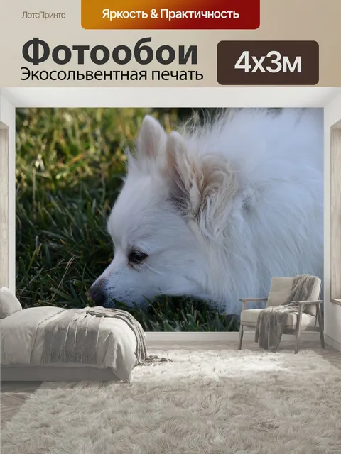 400 × 300 см · Экосольвентная печать