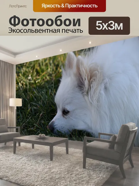 500 × 300 см · Экосольвентная печать
