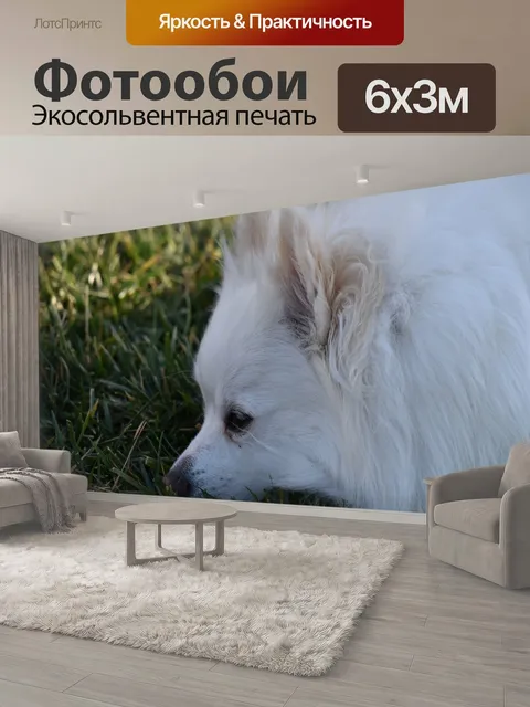 600 × 300 см · Экосольвентная печать