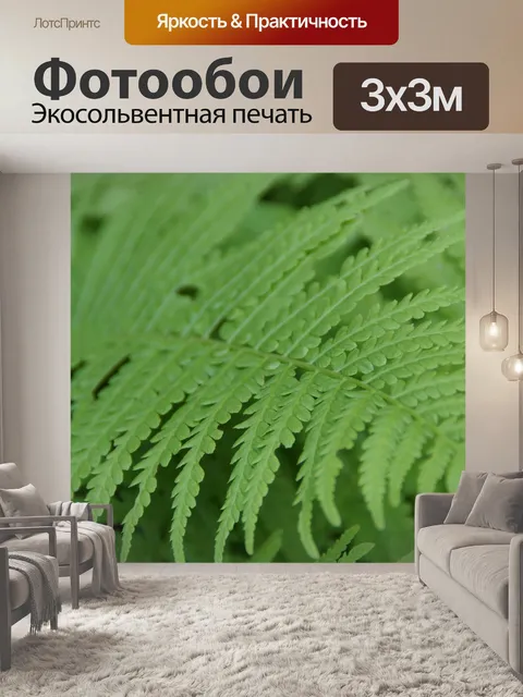 Фотообои Папоротник, листья папоротника, лист