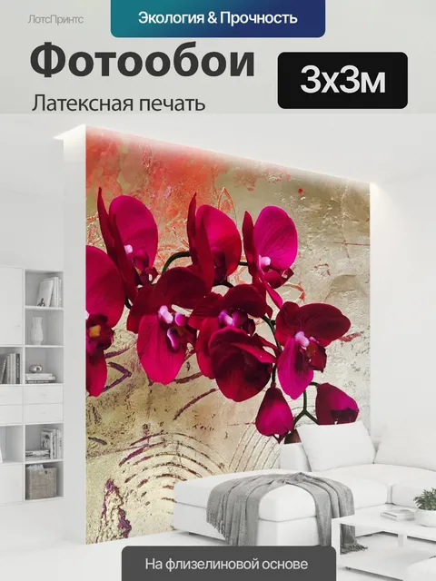 300 × 300 см · Латексная печать