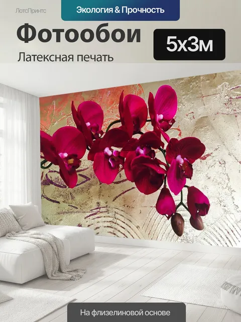 500 × 300 см · Латексная печать