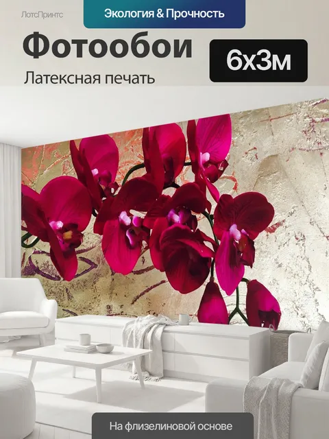 600 × 300 см · Латексная печать