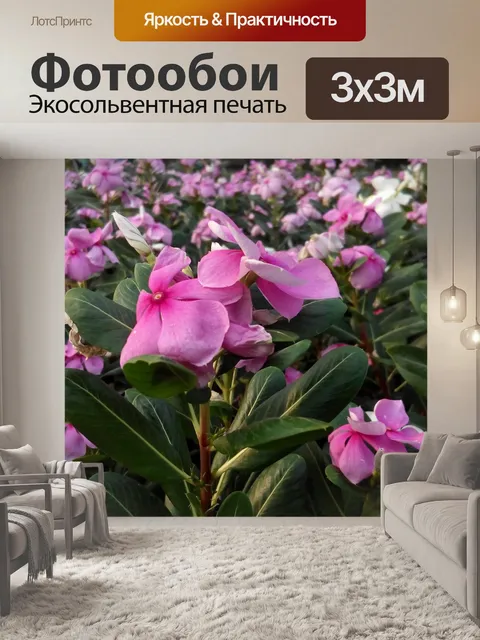 Фотообои Розовые цветы, цветок, цветочный садик