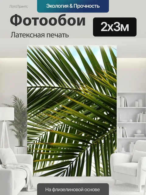 200 × 300 см · Латексная печать