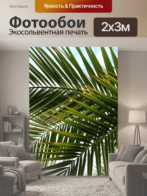 200 × 300 см · Экосольвентная печать