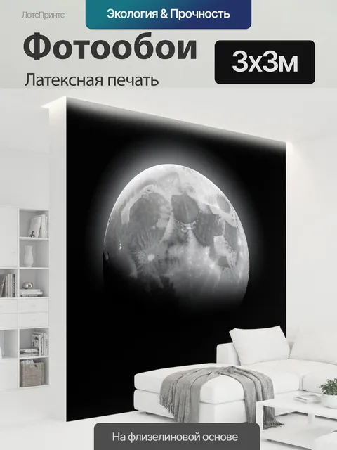 300 × 300 см · Латексная печать