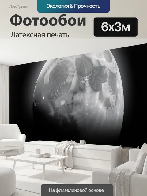 600 × 300 см · Латексная печать