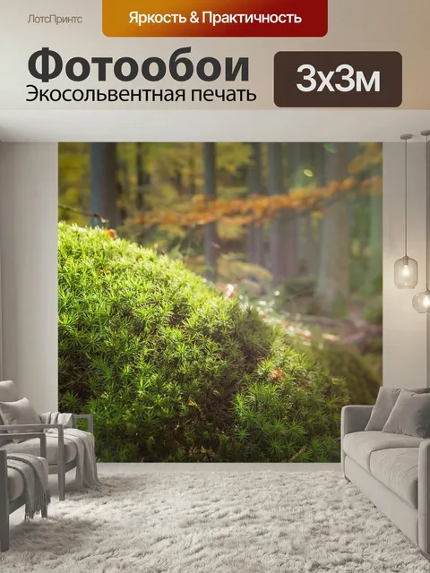 Фотообои Лес, мох, природа