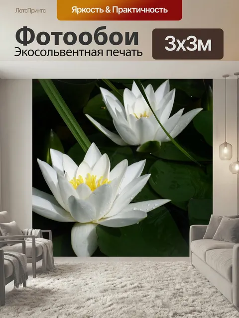 Фотообои Водяные лилии, белый, лист