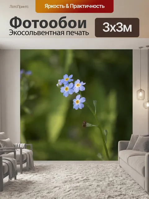 Фотообои Цветок, природа, незабудка