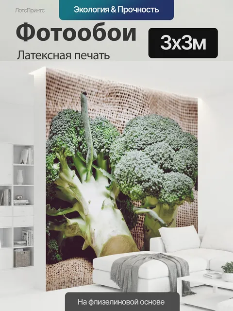 300 × 300 см · Латексная печать