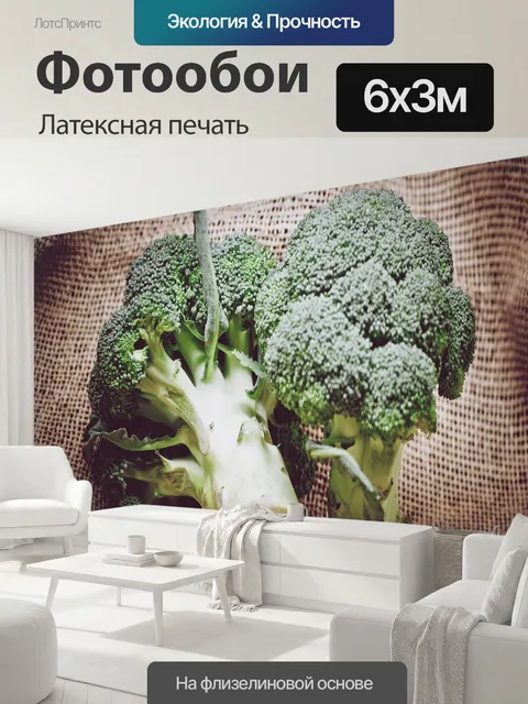 600 × 300 см · Латексная печать