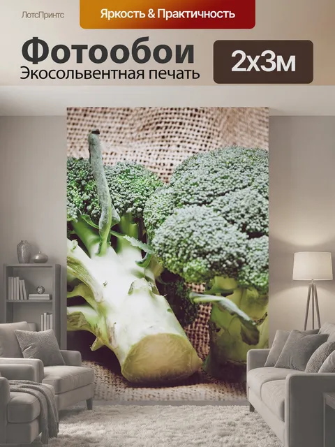 200 × 300 см · Экосольвентная печать
