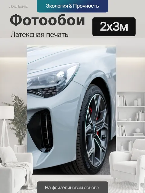 200 × 300 см · Латексная печать