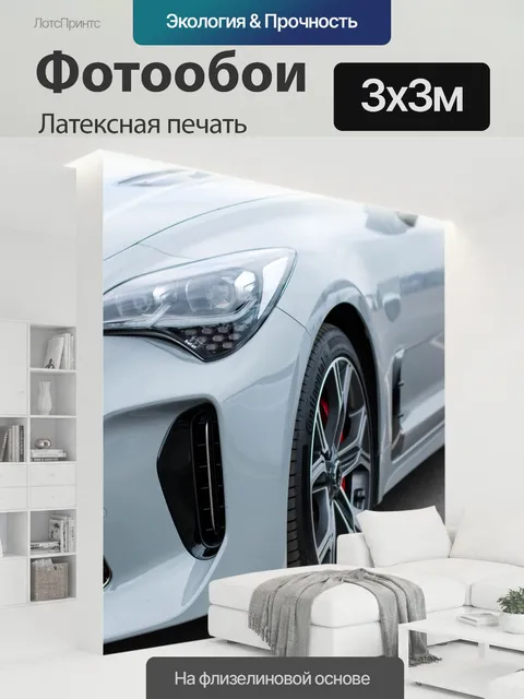 300 × 300 см · Латексная печать