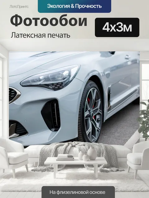 400 × 300 см · Латексная печать