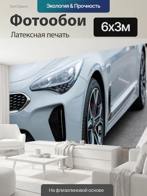 600 × 300 см · Латексная печать