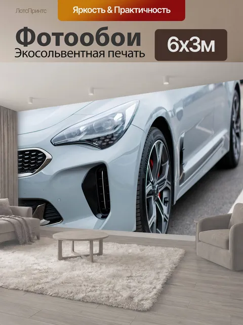 600 × 300 см · Экосольвентная печать