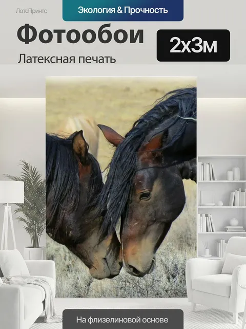 200 × 300 см · Латексная печать