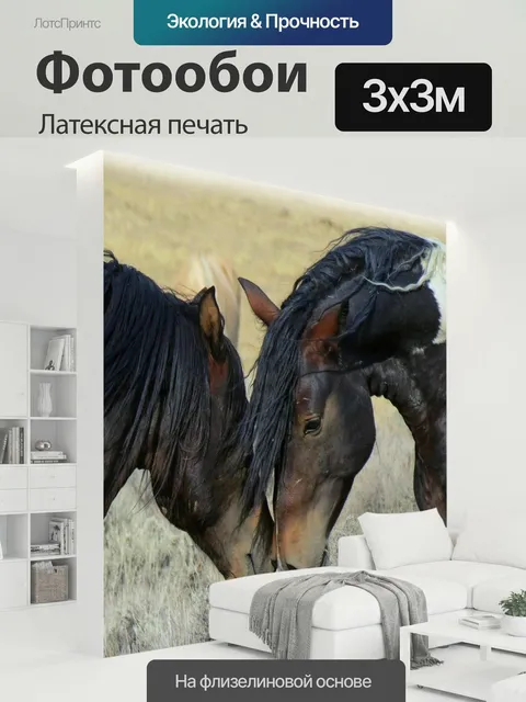 300 × 300 см · Латексная печать