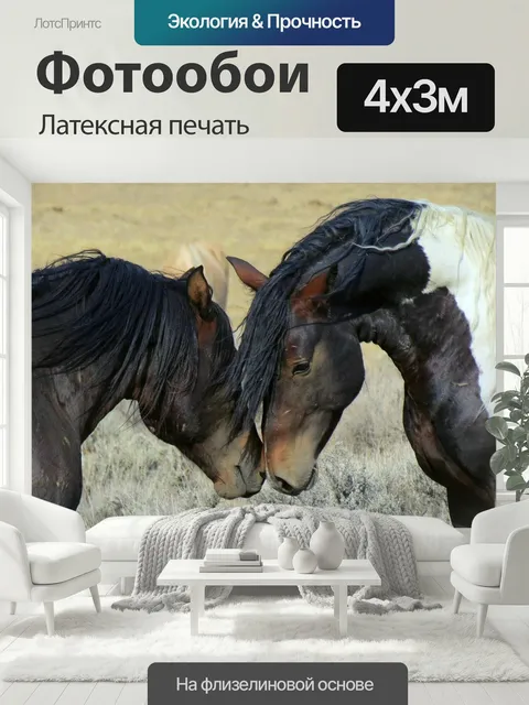 400 × 300 см · Латексная печать