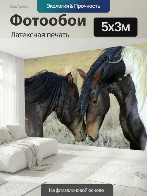 500 × 300 см · Латексная печать