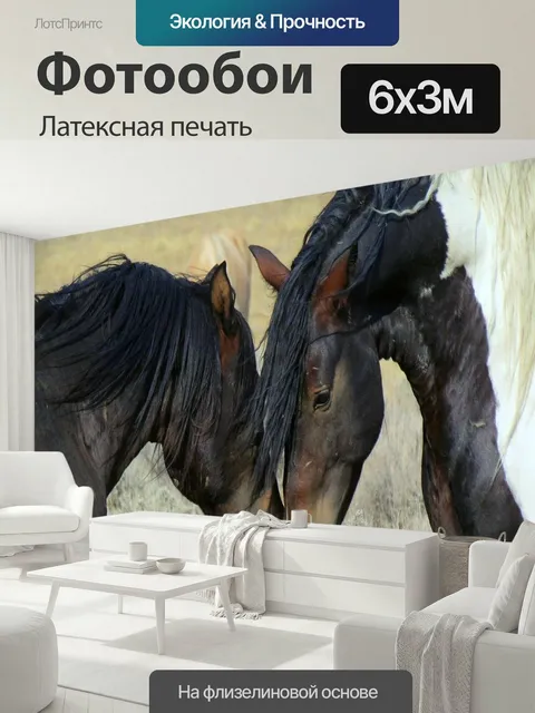 600 × 300 см · Латексная печать