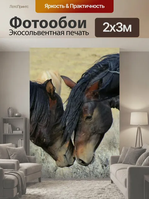 200 × 300 см · Экосольвентная печать