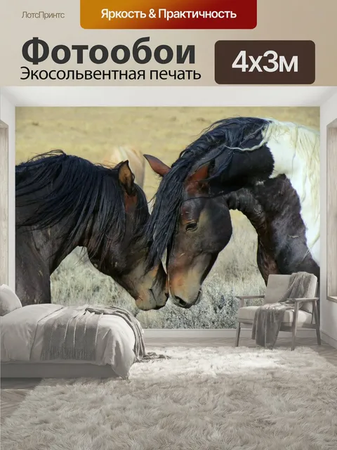 400 × 300 см · Экосольвентная печать