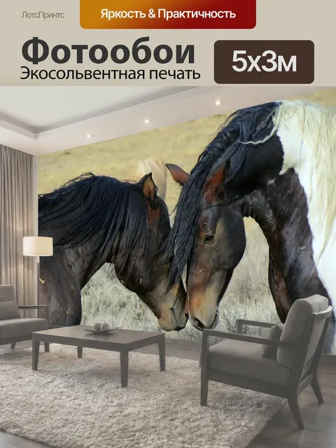 500 × 300 см · Экосольвентная печать