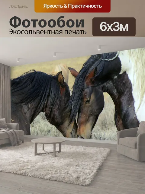 600 × 300 см · Экосольвентная печать