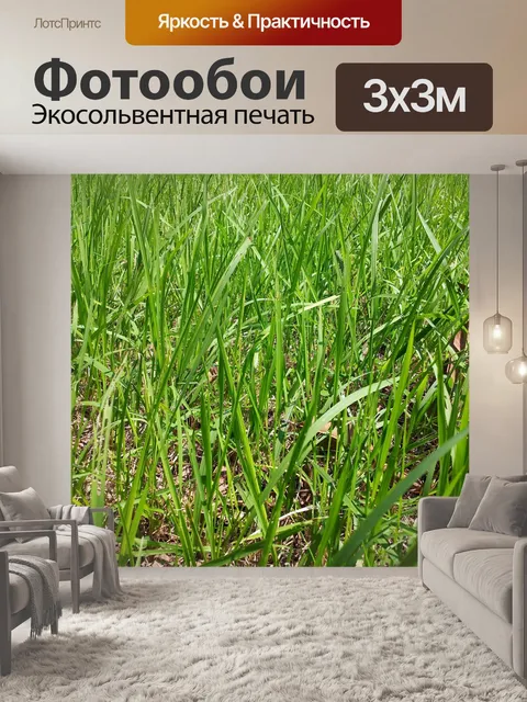 Фотообои Зеленая трава обои зеленая трава обои