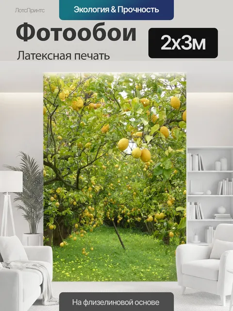 200 × 300 см · Латексная печать