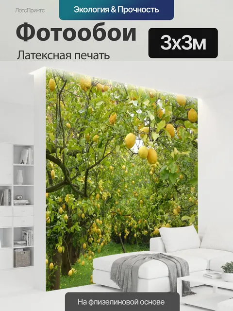 300 × 300 см · Латексная печать