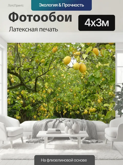 400 × 300 см · Латексная печать