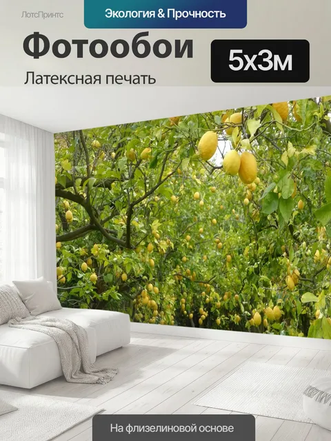 500 × 300 см · Латексная печать