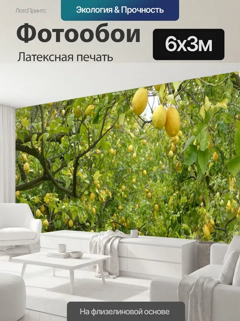 600 × 300 см · Латексная печать