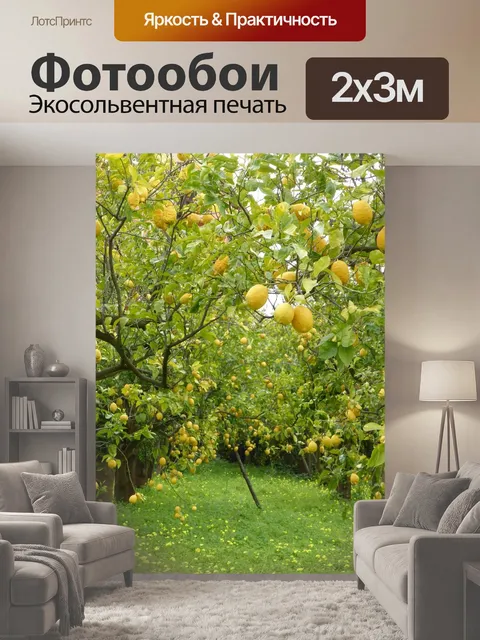 200 × 300 см · Экосольвентная печать