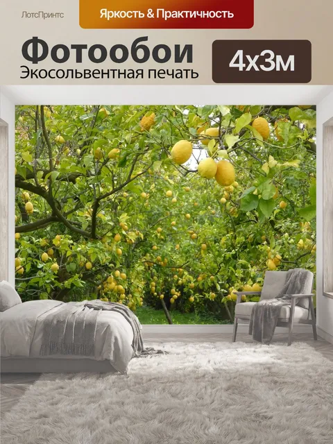 400 × 300 см · Экосольвентная печать