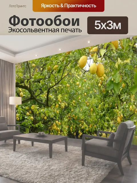 500 × 300 см · Экосольвентная печать