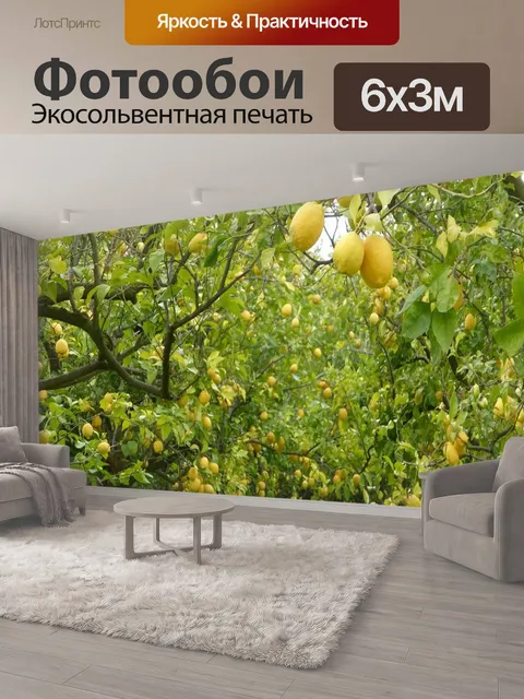 600 × 300 см · Экосольвентная печать