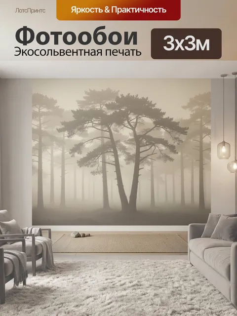 Фотообои Туманный лес с высокими соснами
