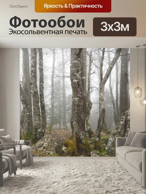 Фотообои Лес, деревья, стволы деревьев